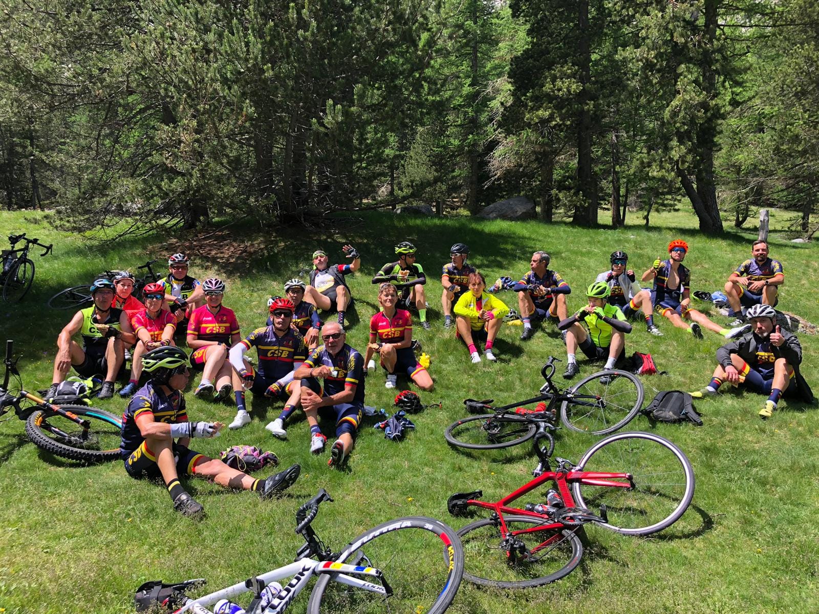 PIQUE NIQUE COL ECHELLE